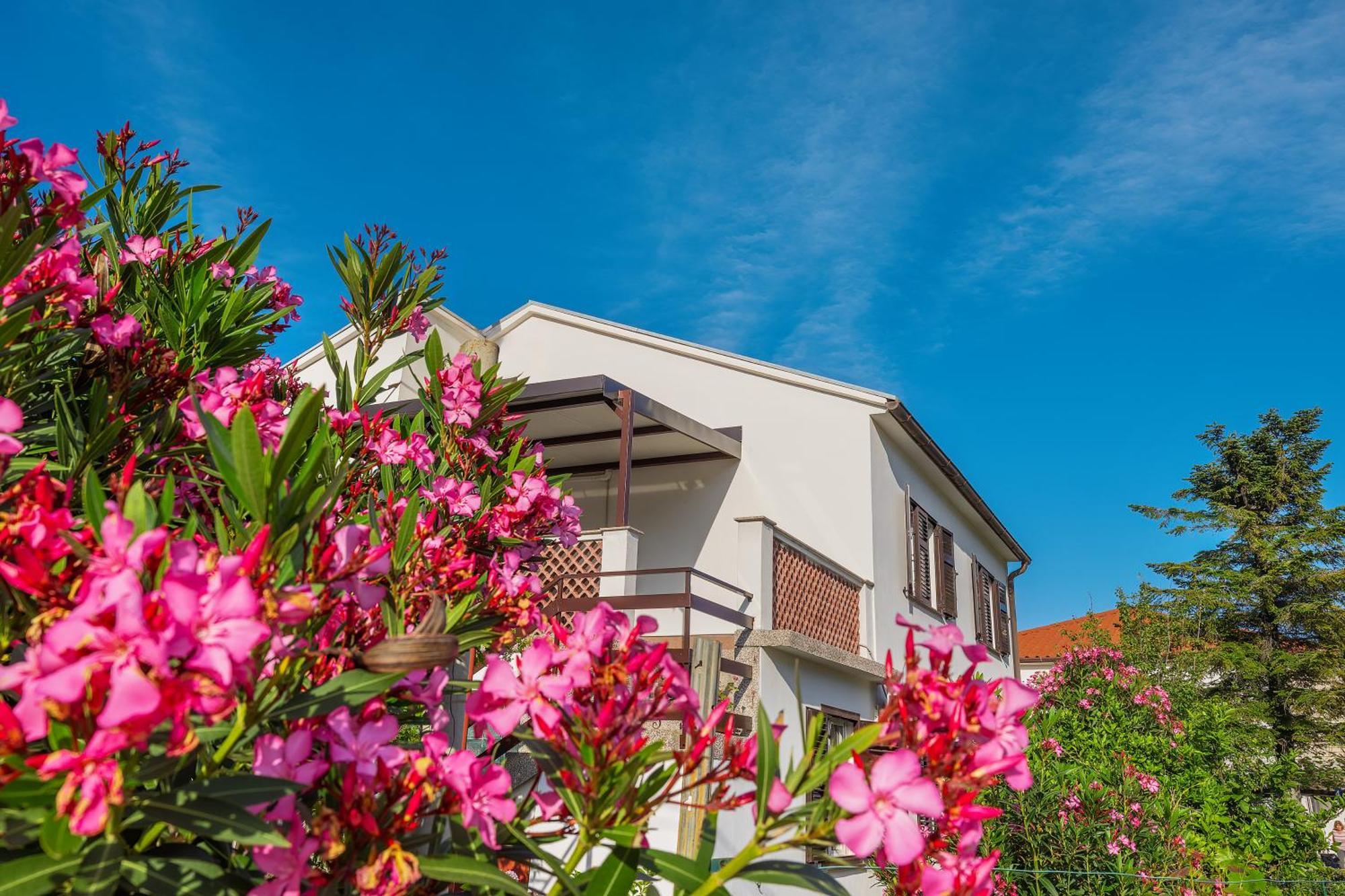Apartment Vinka バスカ エクステリア 写真